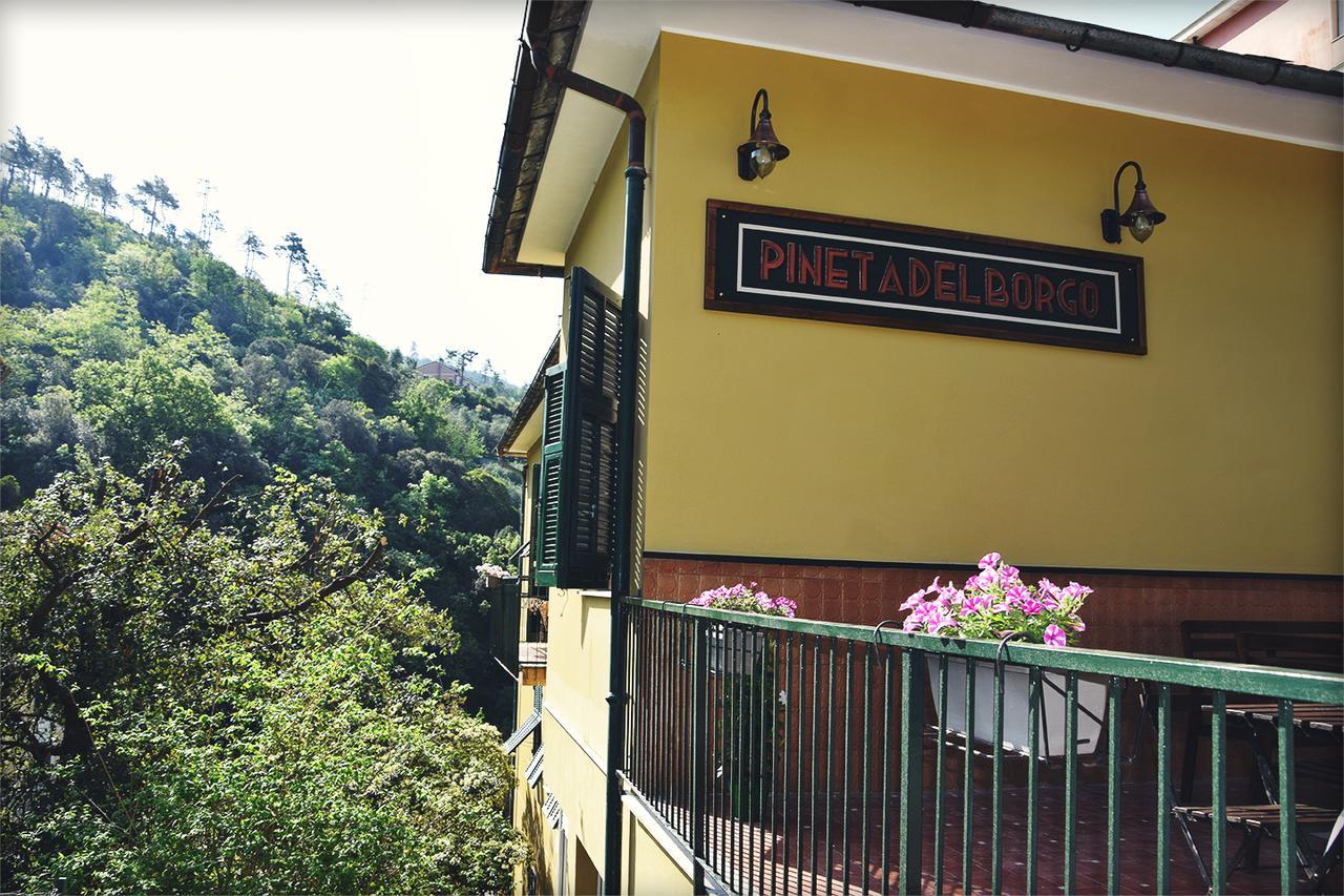Hotel Pineta Del Borgo Cavi di Lavagna Zewnętrze zdjęcie